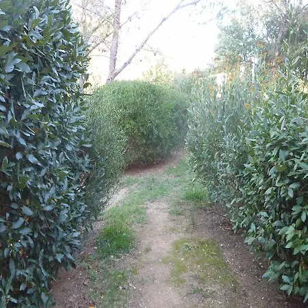 Holiday park Les Restanques Du Golfe De Saint-tropez / Selexity *